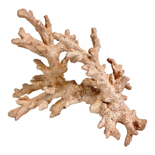 Mid-Century Coastal Boho Chic Faux Ocean Branch Coral Decorative Object For Sale