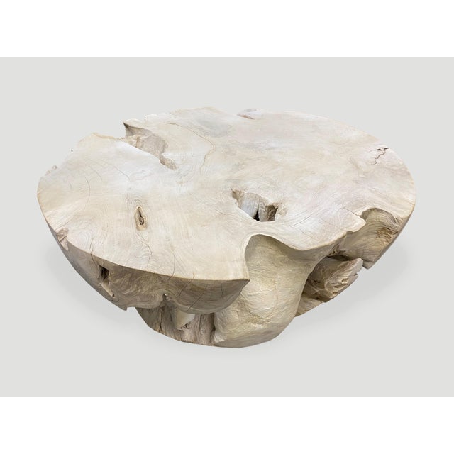 Andrianna Shamaris Round Bleached Teak Wood Coffee Table For Sale In New York - Image 6 of 18