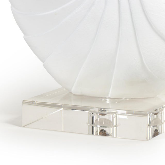 Nautilus Shell Large, White For Sale - Image 4 of 5