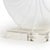 Nautilus Shell Large, White For Sale - Image 4 of 5