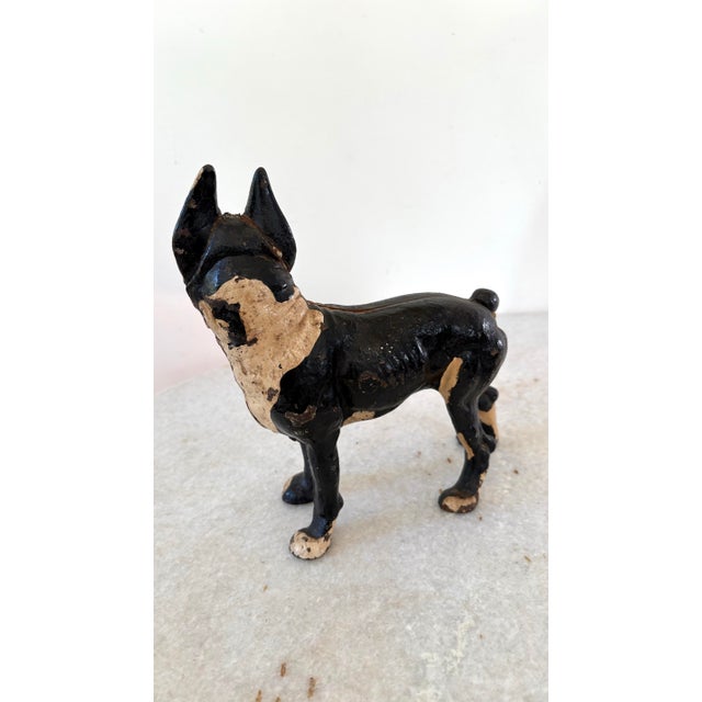 Vintage Cast Iron Boston Terrier Dog Doorstop Early 20th Century For Sale - Image 4 of 5