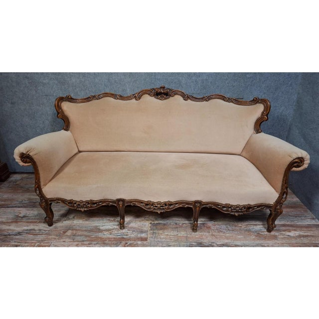 20th Century Louis XV Carved Walnut Sofa For Sale - Image 9 of 9