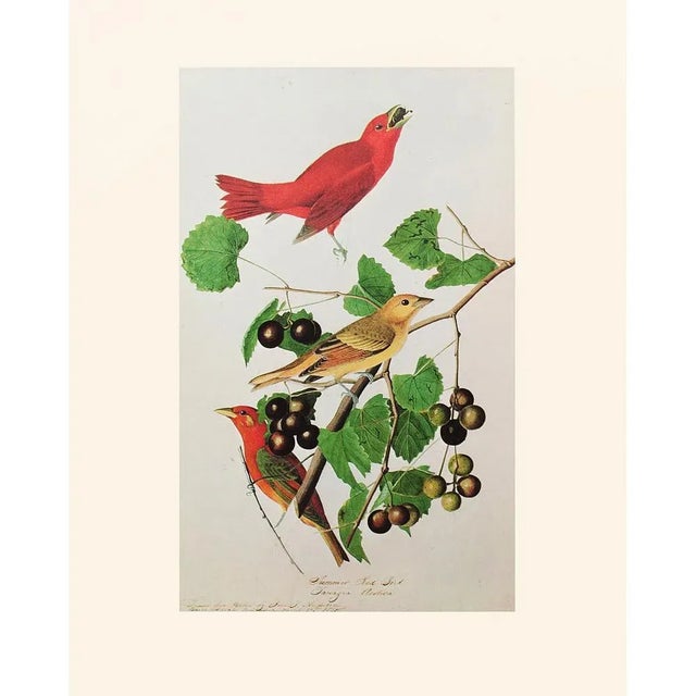 A gorgeous large vintage American Classical, Chinoiserie or Cottage reproduction of the original lithographic print of Red...