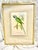 I believe this to be an Original nineteenth-century hand-colored lithograph by celebrated British ornithologist and...