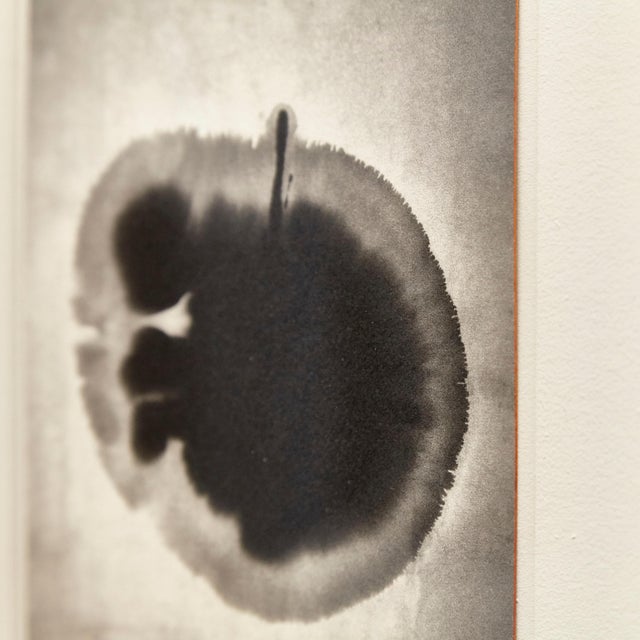 Glass Mouth of Krishna 110 Print by Albarran & Cabrera, 2013 For Sale - Image 7 of 11