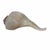 Coastal Vintage Large Lightning Welk Shell For Sale - Image 3 of 8