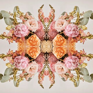 "No. 144" Contemporary Original Op Art Botanical Limited Edition Photograph Print by Erin Derby For Sale