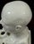 19th Century Staffordshire Creamware Phrenology Head Inkwell, Stamped “55” For Sale - Image 13 of 13