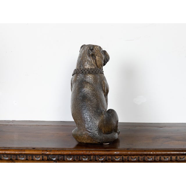 Glass English 19th Century Terracotta Bulldog Statue with Silver Collar and Glass Eyes For Sale - Image 7 of 11
