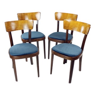 Vintage Tatra Dining Chairs, Czechoslovakia, 1950s, Set of 4 For Sale