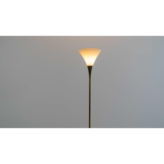 Lonea Floor Lamp in Brass by Florian Schulz For Sale - Image 6 of 14
