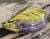 LastCHANCE!Italian Majolica Style Eggplant Tureen For Sale - Image 10 of 12