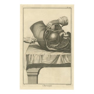 Fambrini, Opened Abdomen and Bladder Dissection, Diderot Chirurgie Plate Xiv, 1772, Engraving For Sale