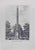 L'Obelisco di Villa Celimontana, Rome is an etching artwork realized in 1839 by the Italian artist Domenico Amici...
