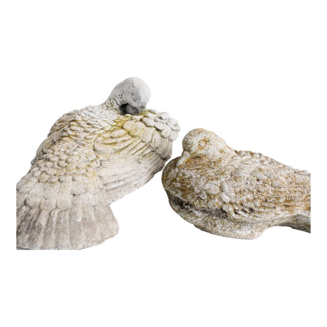 Large Pair Vintage Garden Doves Birds Concrete S/2 For Sale