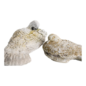 Large Pair Vintage Garden Doves Birds Concrete S/2