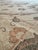 Vintage Persian Sultanabad Carpet, Handmade Rug, Ivory ground, Soft Grey border For Sale - Image 14 of 15