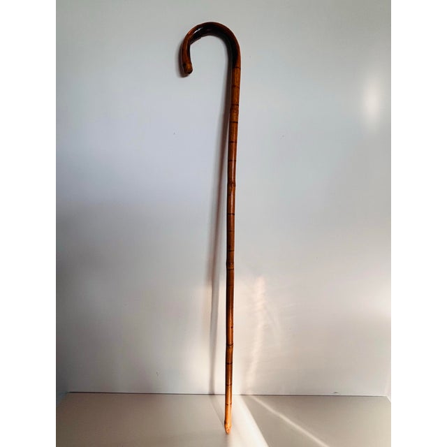 American 1930s Vintage Burnt Bamboo Cane/Walking Stick For Sale - Image 3 of 6