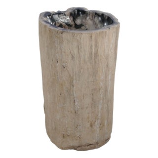 Petrified Wood Stand Alone Wash Basin by Xyleia Petrfied Wood For Sale