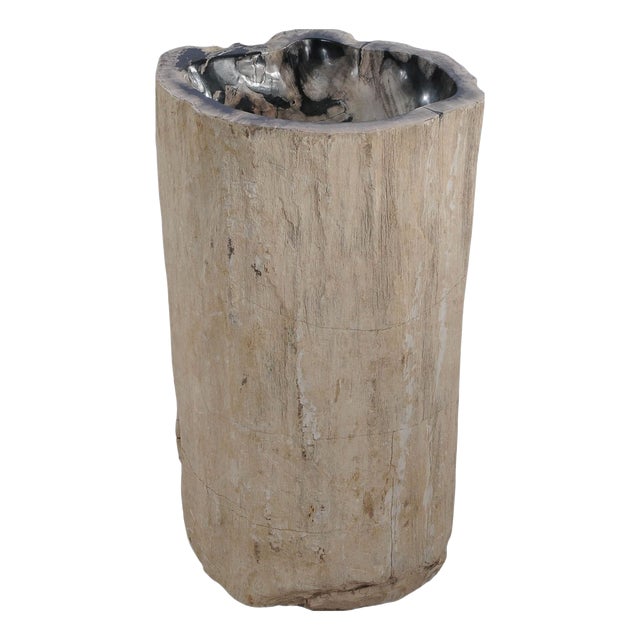 Petrified Wood Stand Alone Wash Basin by Xyleia Petrfied Wood For Sale