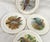 English Vintage Royal Vale Bone China Bird Plates-Set of 4 For Sale - Image 3 of 5