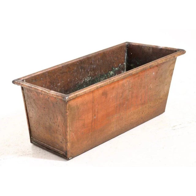 19th Century Swedish Flower Case For Sale - Image 4 of 8