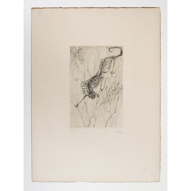Mid 20th Century Surrealist Stalking Cat Etching For Sale - Image 4 of 5