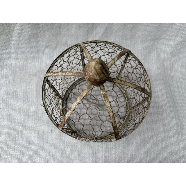 Vintage Indoor Wire Birdcage Garden Cloche For Sale - Image 10 of 17