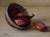 Spilled Shallots by Michael DeVore | Oil on panel Still life of shallots in a bowl For Sale