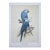 Mid-Century Modern 1988 Eric Peake Spix's Macaw Signed Limited Edition Print For Sale
