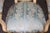 Set 10 French Louis XVI Style Parcel Gilt Dining Chairs. For Sale - Image 9 of 16