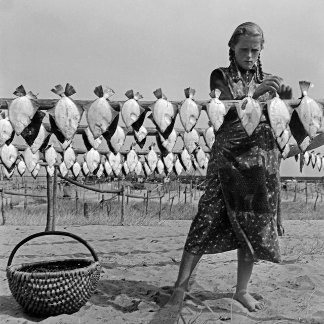 The photographer's note regarding this work is "A girl at Samland in East Prussia hanging up flatfishes fro drying,...