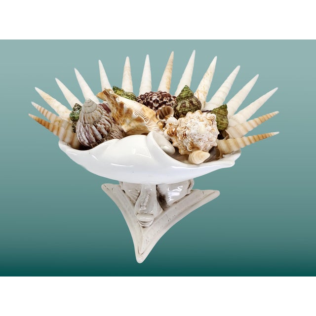 Bowl Seashells Shells For Sale - Image 14 of 14