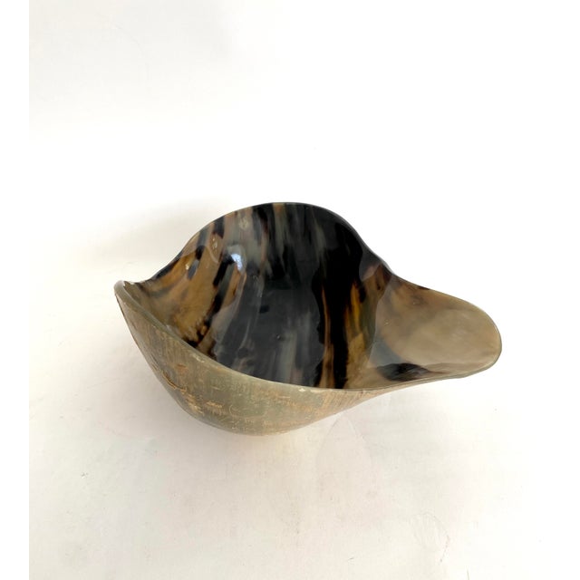Organic Modern Steer Horn Bowl For Sale In Los Angeles - Image 6 of 7