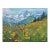 Original Oil Painting of Mountain Flowers For Sale