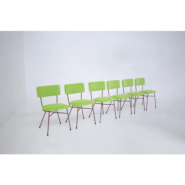 Green and Red Velvet Chairs by BBPR, 1950s, Set of 6 For Sale - Image 11 of 11