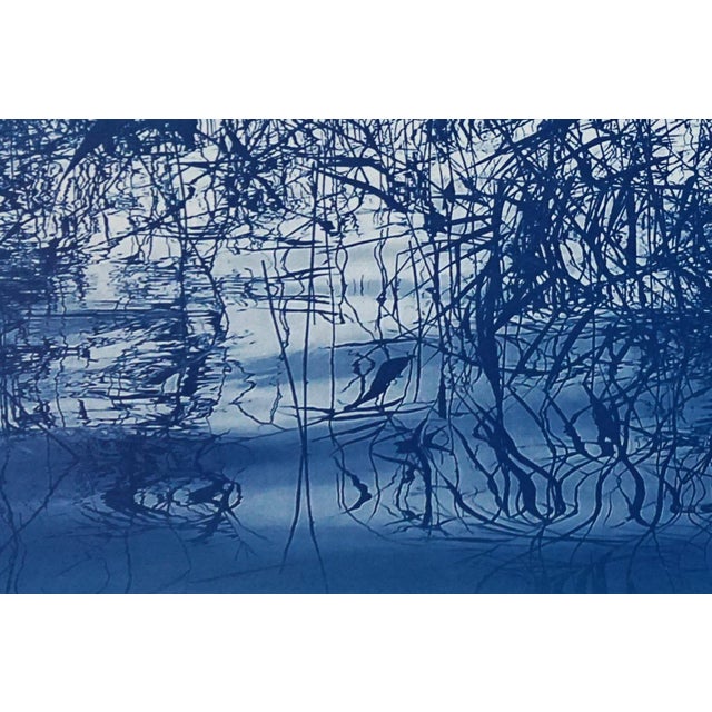 Paper Contemporary Cyanotype on Watercolor Paper, "Mystic Louisiana Marsh" For Sale - Image 7 of 11