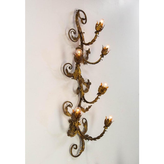 Rococo French Six Lights Sconce in Iron with Golden Leaves, 1890s For Sale - Image 3 of 10