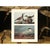 Paper 1966 Vintage Cottage Print "Ruddy Duck & Royal Tern" After John James Audubon For Sale - Image 7 of 8