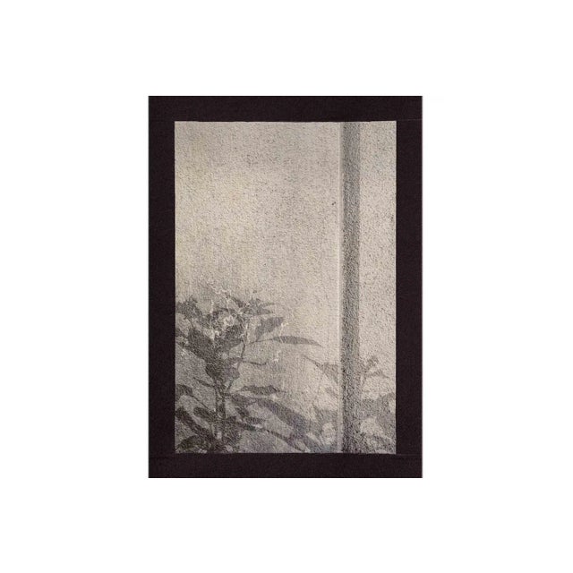 Kensho 2251, 2019 For Sale - Image 3 of 6