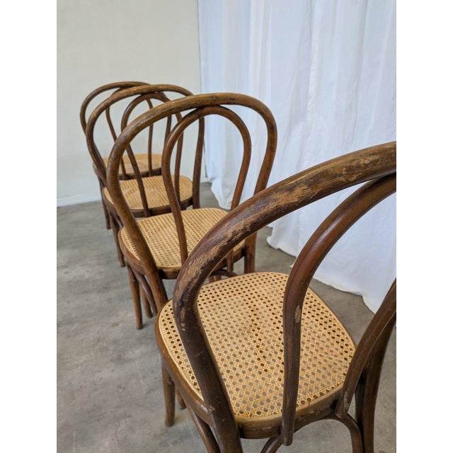 Vintage Dining Chairs with Bentwood Cane Seat, 1970s, Set of 4 For Sale - Image 11 of 18