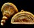 Mid 20th Century Ornate Gold Demilune Wall Sconces For Sale - Image 4 of 12