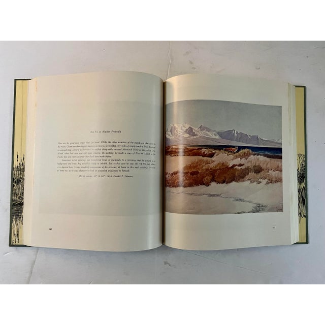 Paper Francis Lee Jacques: Artist of the Wilderness World, 1973, 1st Edition, Slipcase For Sale - Image 7 of 9