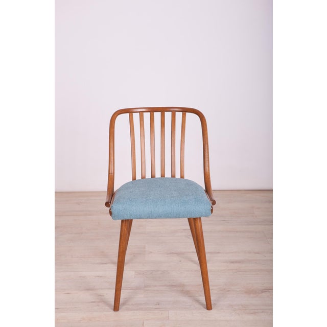 Dining Chairs attributed to Antonin Suman for Ton, 1960s, Set of 4 For Sale - Image 6 of 15