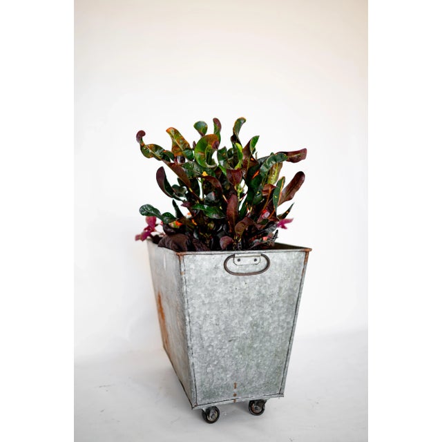 Planter Storage Bin 1970s Zinc For Sale - Image 6 of 8