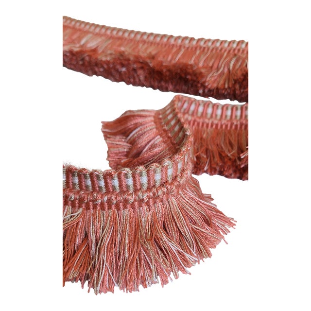 Indoor/Outdoor Brush Trim From Samuel & Sons- 1.83 Yards For Sale