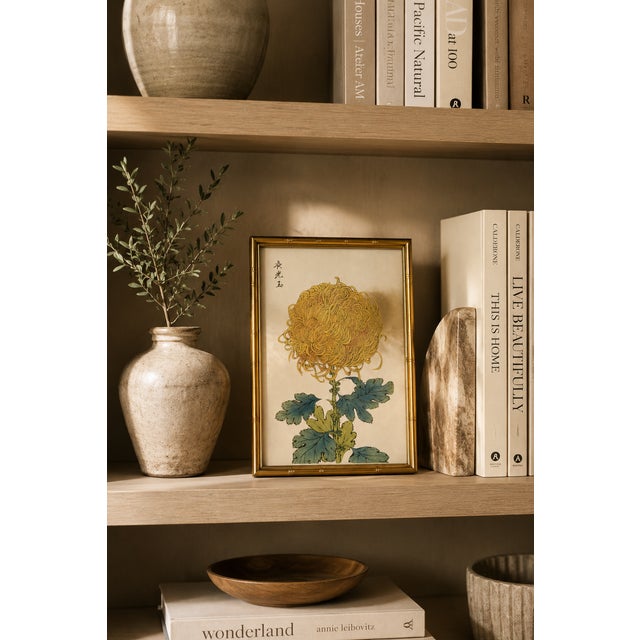 Gold Gold Mum by Hasegawa, Vintage Japanese Botanical Art Print, 16" X 24" For Sale - Image 8 of 9