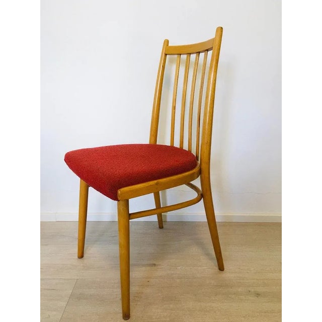 Set of Mid-Century Czech Light Blue Dining Chairs from TON For Sale - Image 6 of 16