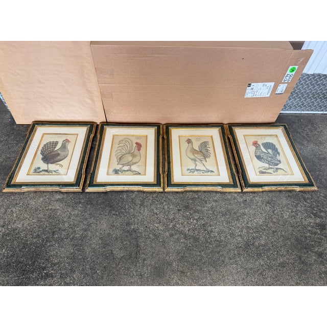 Antique Rooster Prints in Trowbridge Frames - Set Of 4 sold as found in good vintage condition showing slight foxing to...