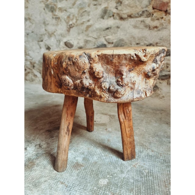 Brutalist French Burled Cherrywood Stool Primitive Milking Stool, 1890s For Sale - Image 10 of 11